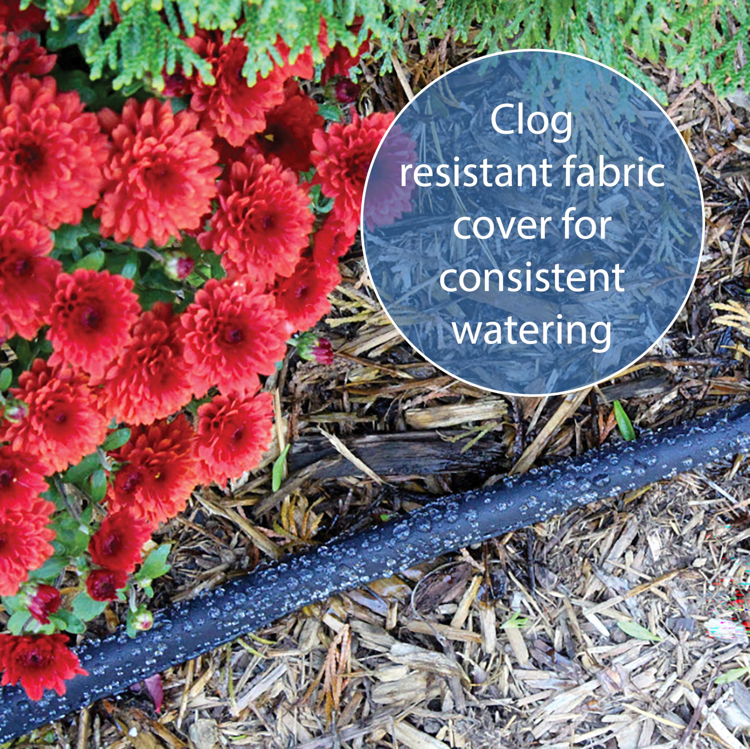 GILMOUR lifestyle image of vegetable bed irrigated showing healthier plants and water savings