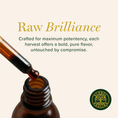 Global Healing Center moringa liquid texture closeup highlighting purity and color