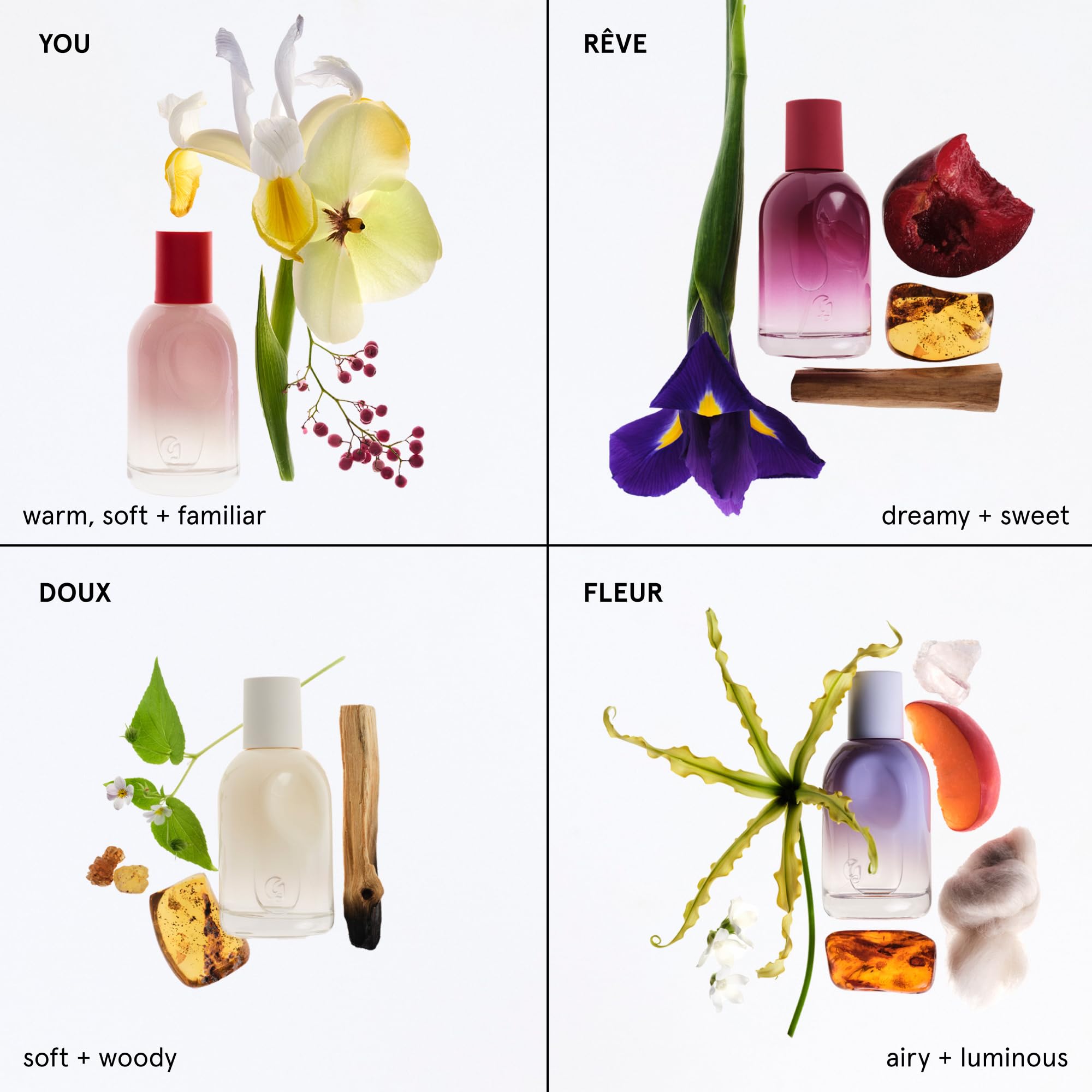 Ambrox and ambrette seeds visual representing Glossier fragrance notes