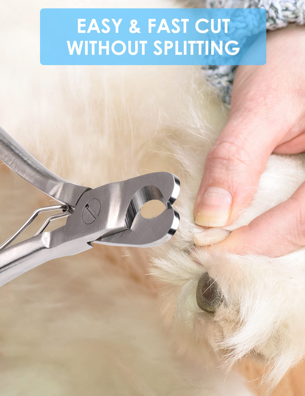 Gobeigo in use trimming large dog paw, fast precise nail cutting