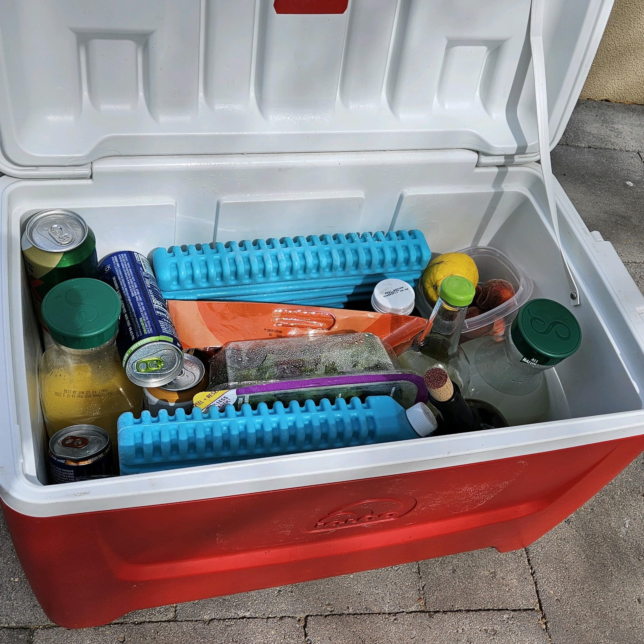 GoCJ Arizona Ice inside cooler with fish showing reliable, dry cold preservation