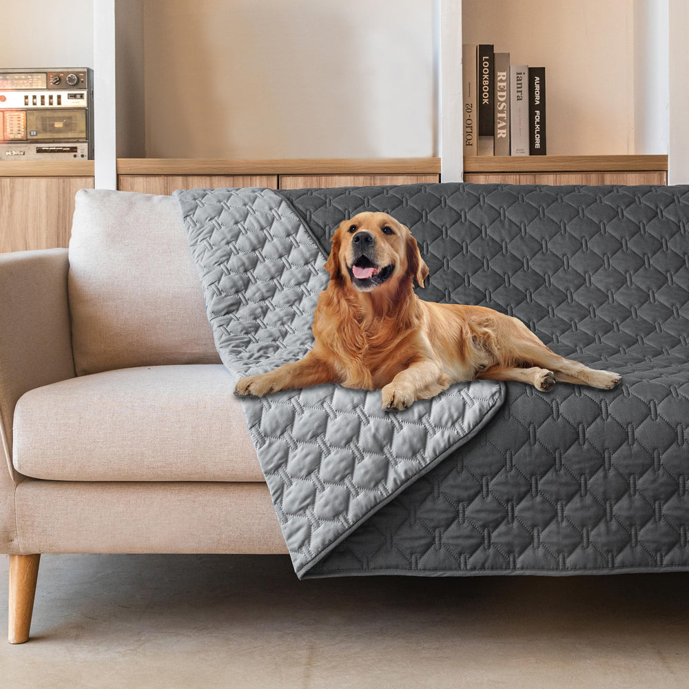 gogobunny front view on sofa showing durable protection and neat look