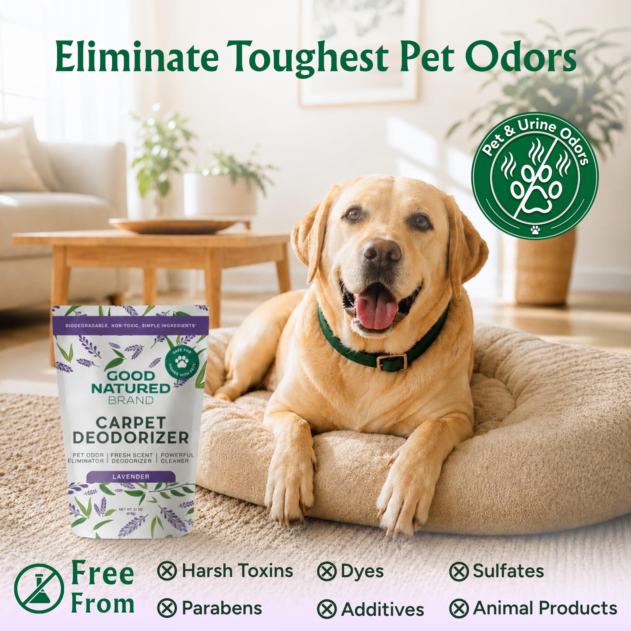 Good Natured Brand sprinkling on carpet demonstrates easy application and odor lift
