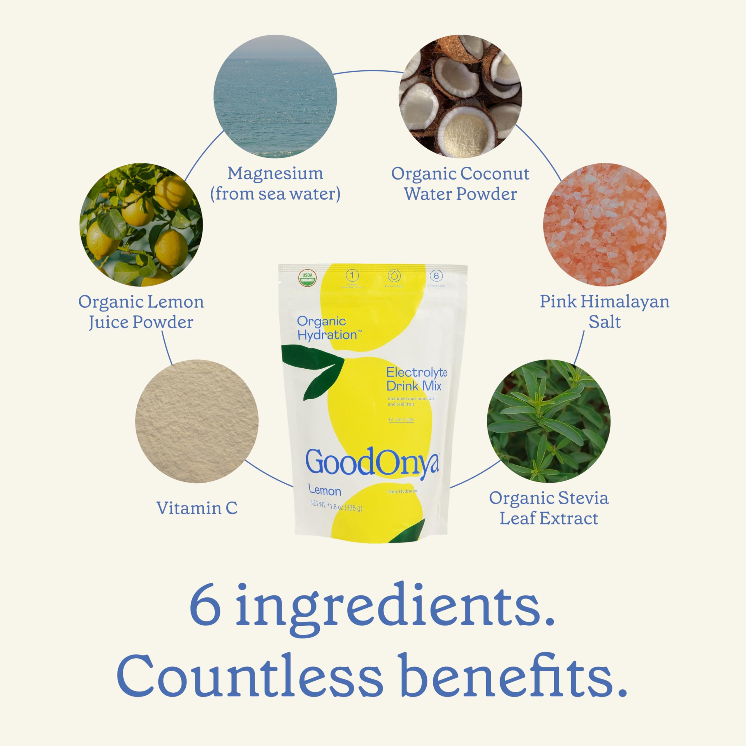 GOODONYA ingredients flatlay with organic fruit and pink salt benefit