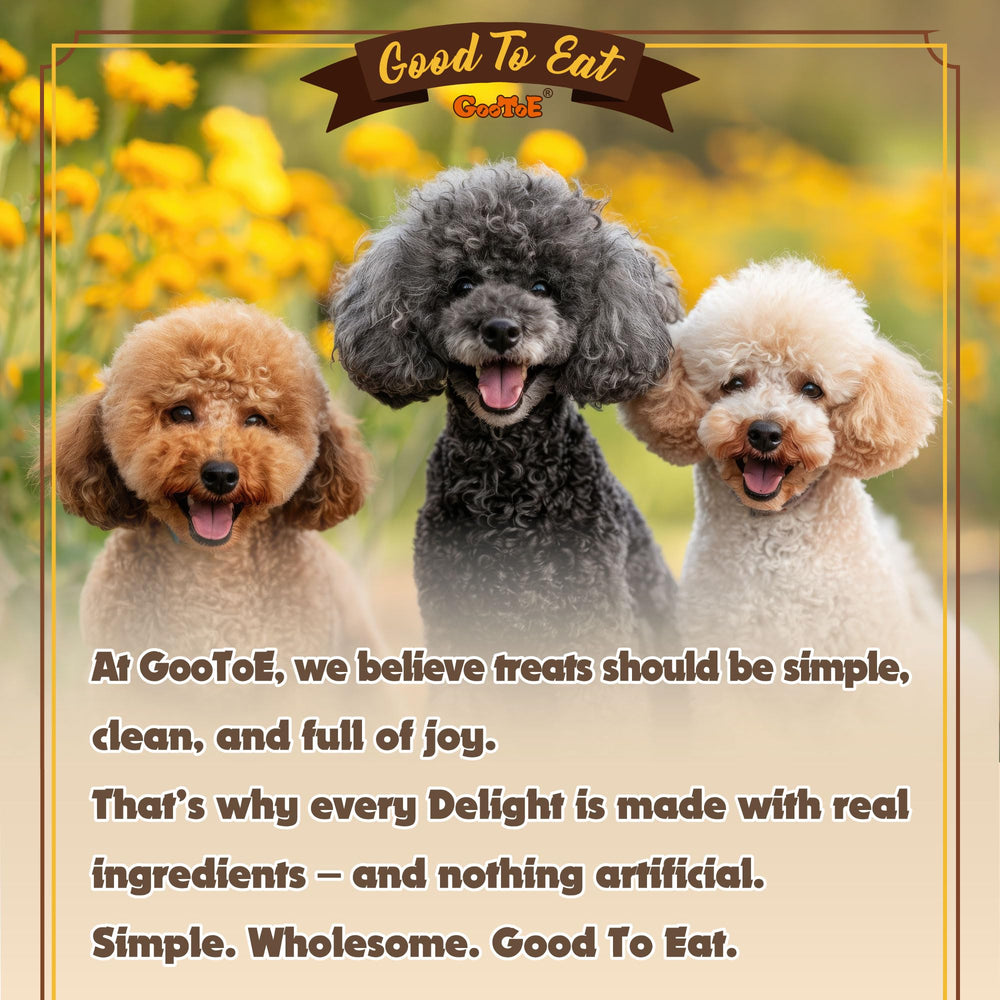 Gootoe lifestyle scene with dog and owner enjoying treat time for bonding benefit