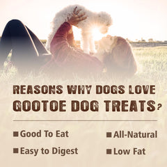 Gootoe treats in hand showing scale for small breeds and portion control benefit