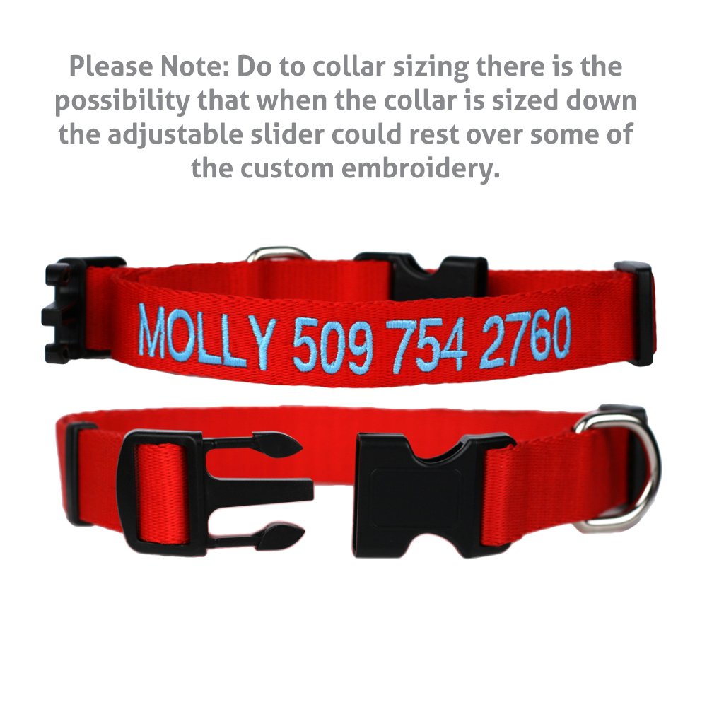 GoTags collar worn by dog on walk showing comfort and easy leash attachment