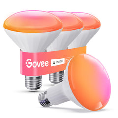 Govee BR30 front packaging showing 4-pack and features
