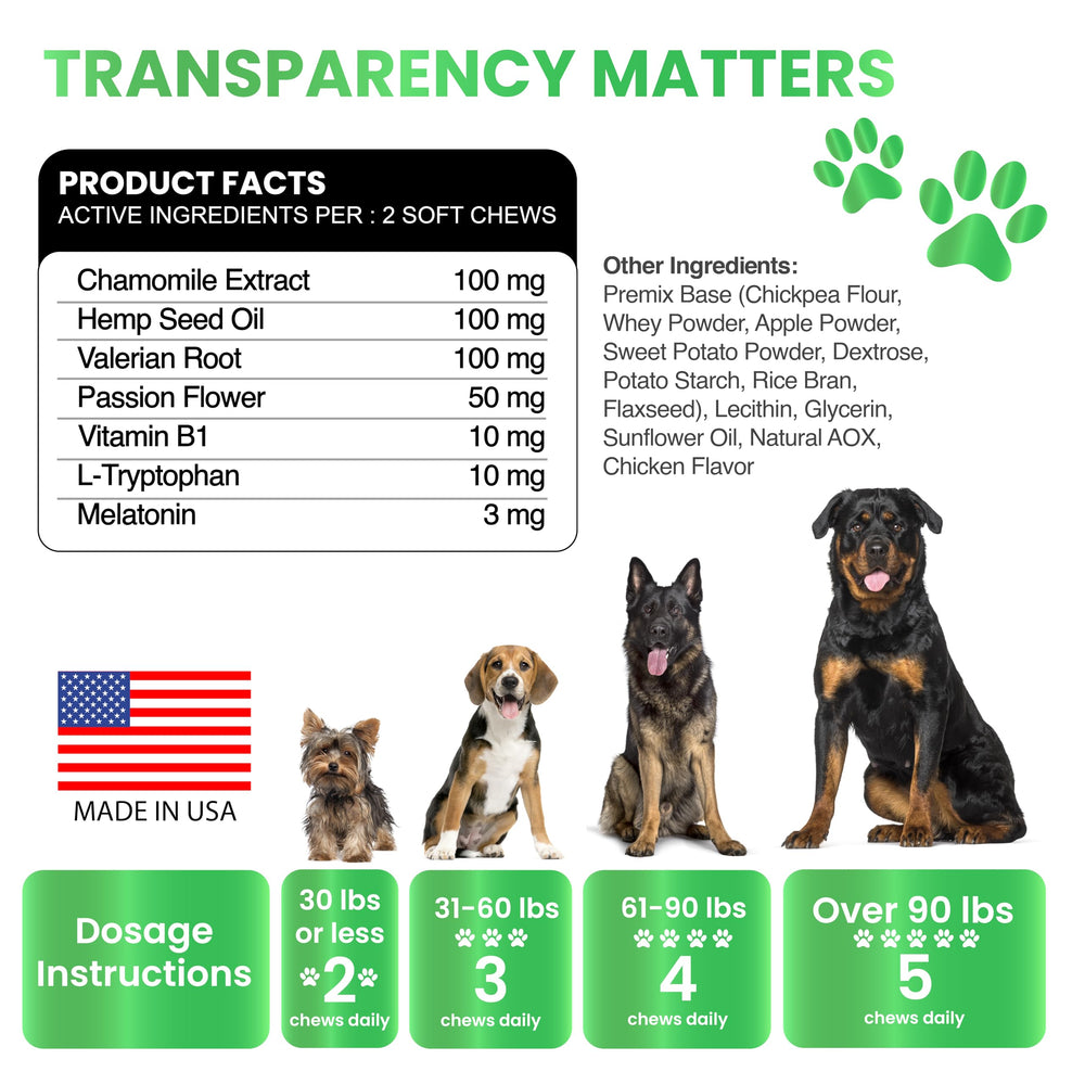 Grateful Pawz chews packed during travel with a calm dog, supporting stress-free trips