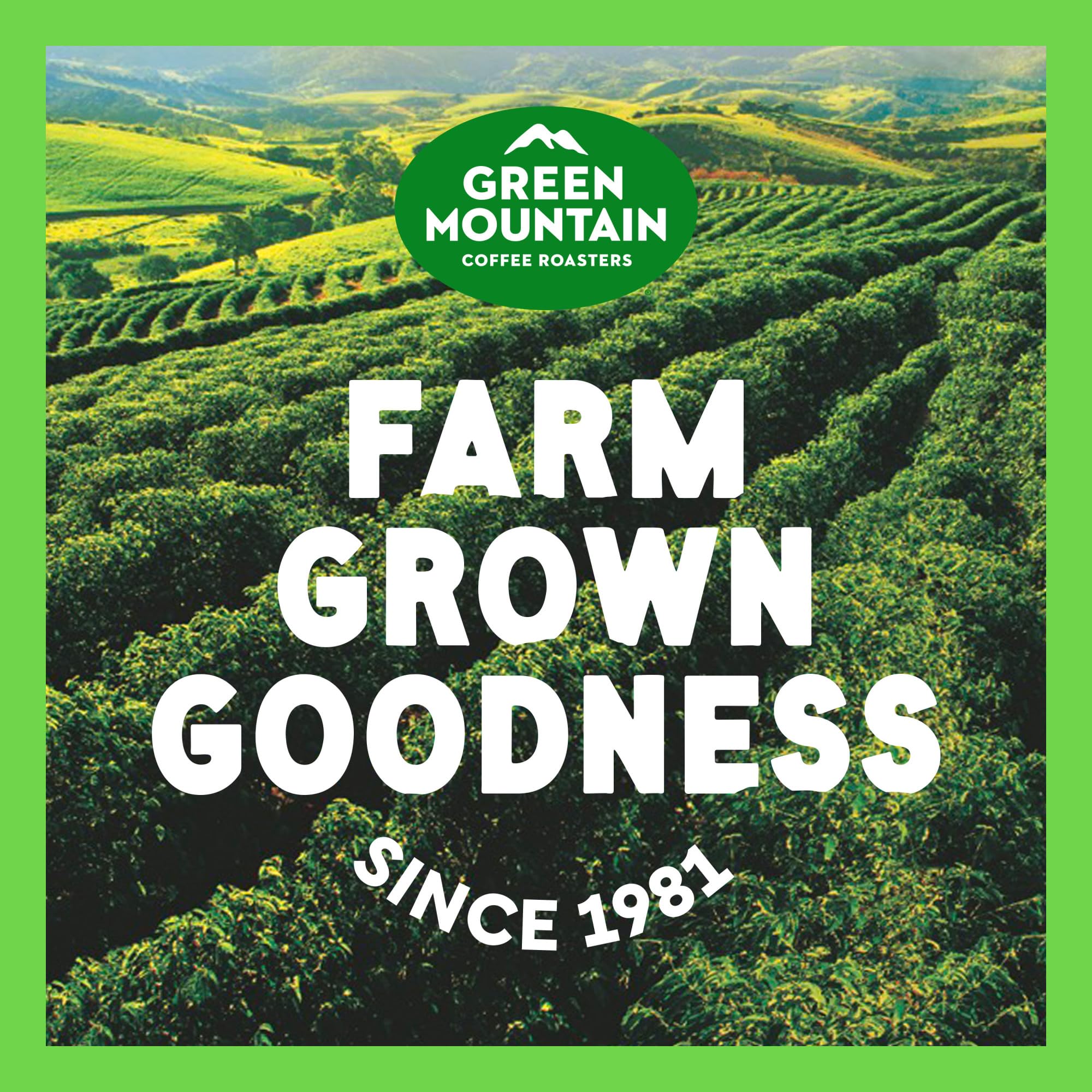 Green Mountain Coffee Roasters pod bottom filter detail for optimal extraction
