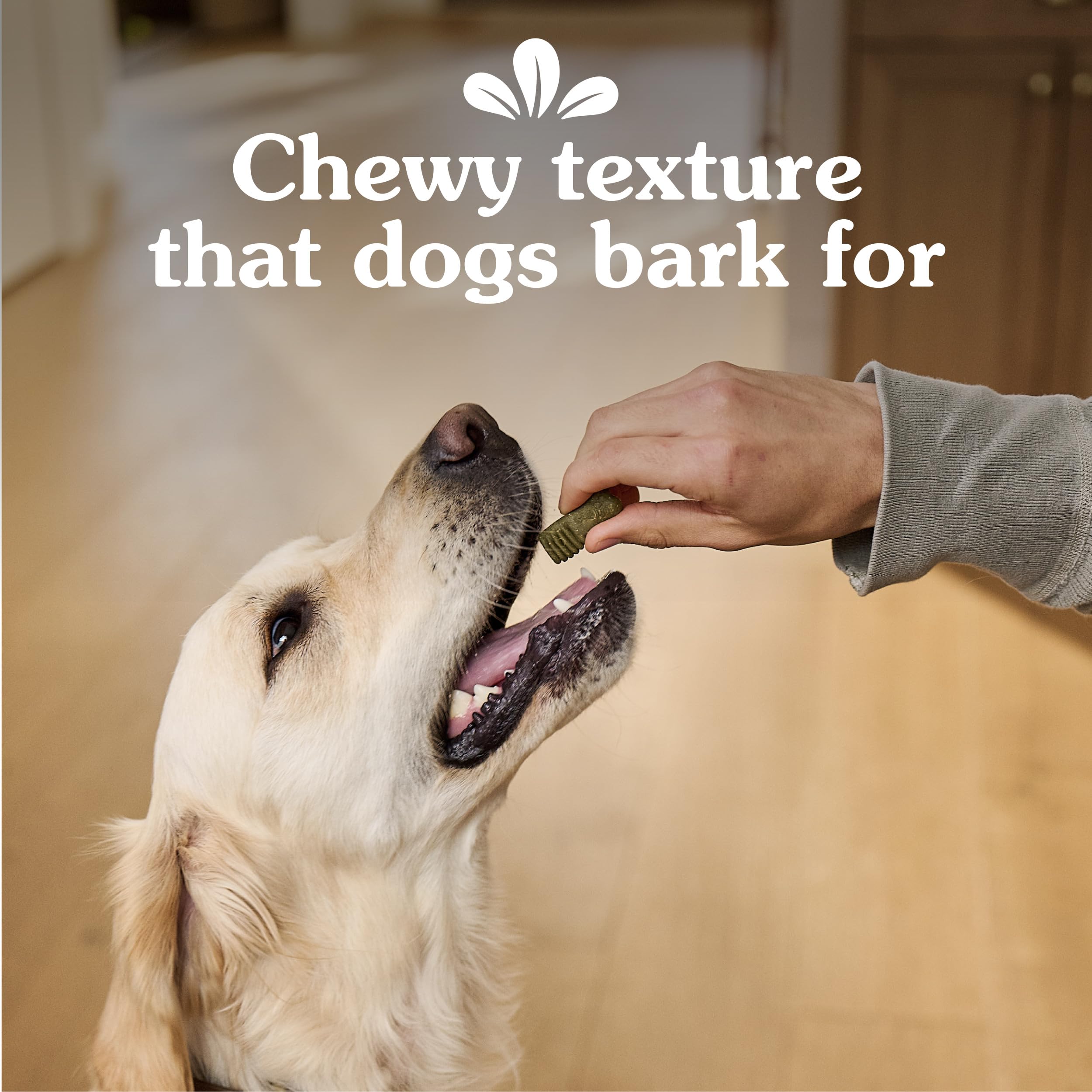 Greenies Anytime Bites beside a ruler showing small size and low-calorie benefit