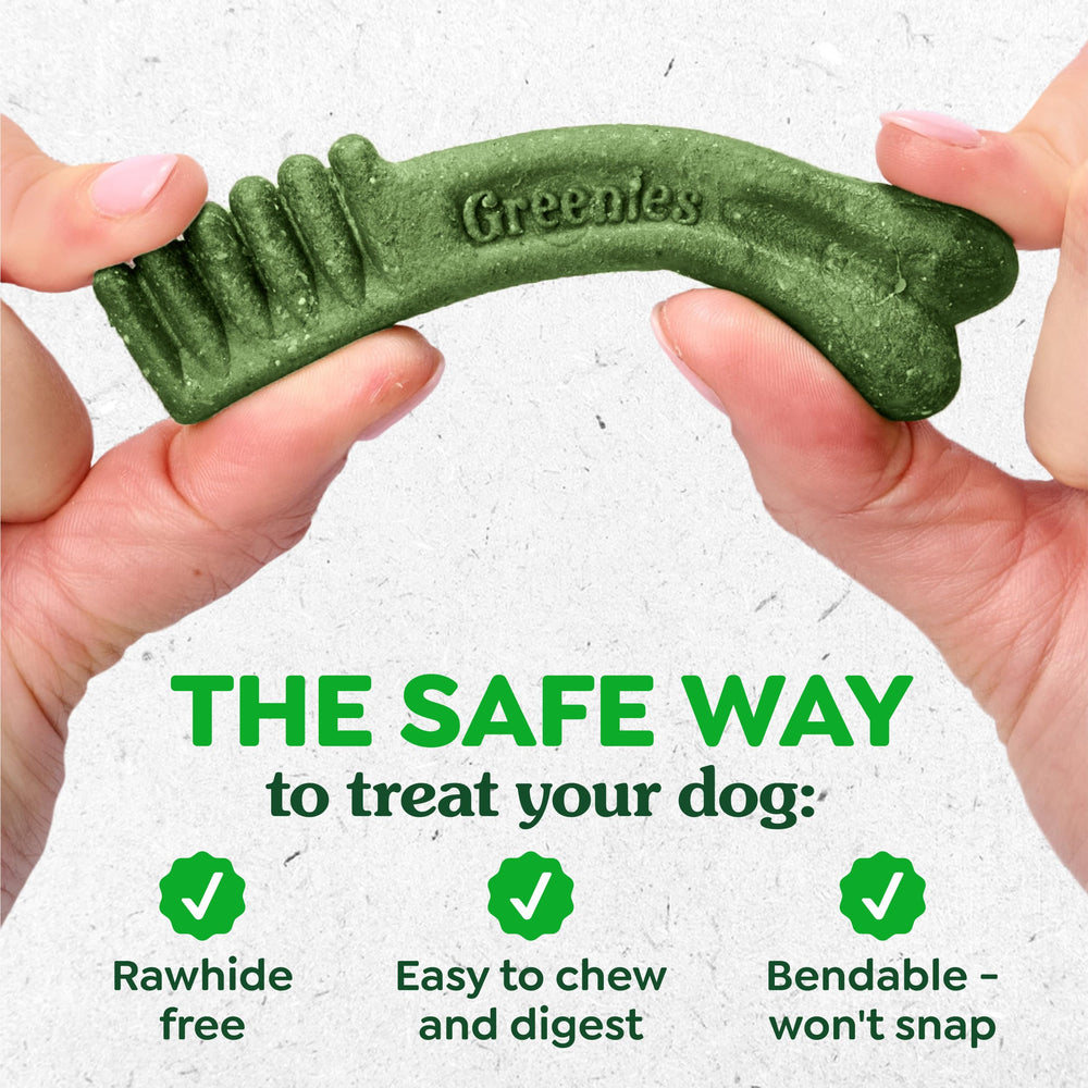 Greenies in bowl with happy dog, Greenies convenient treat for daily routine