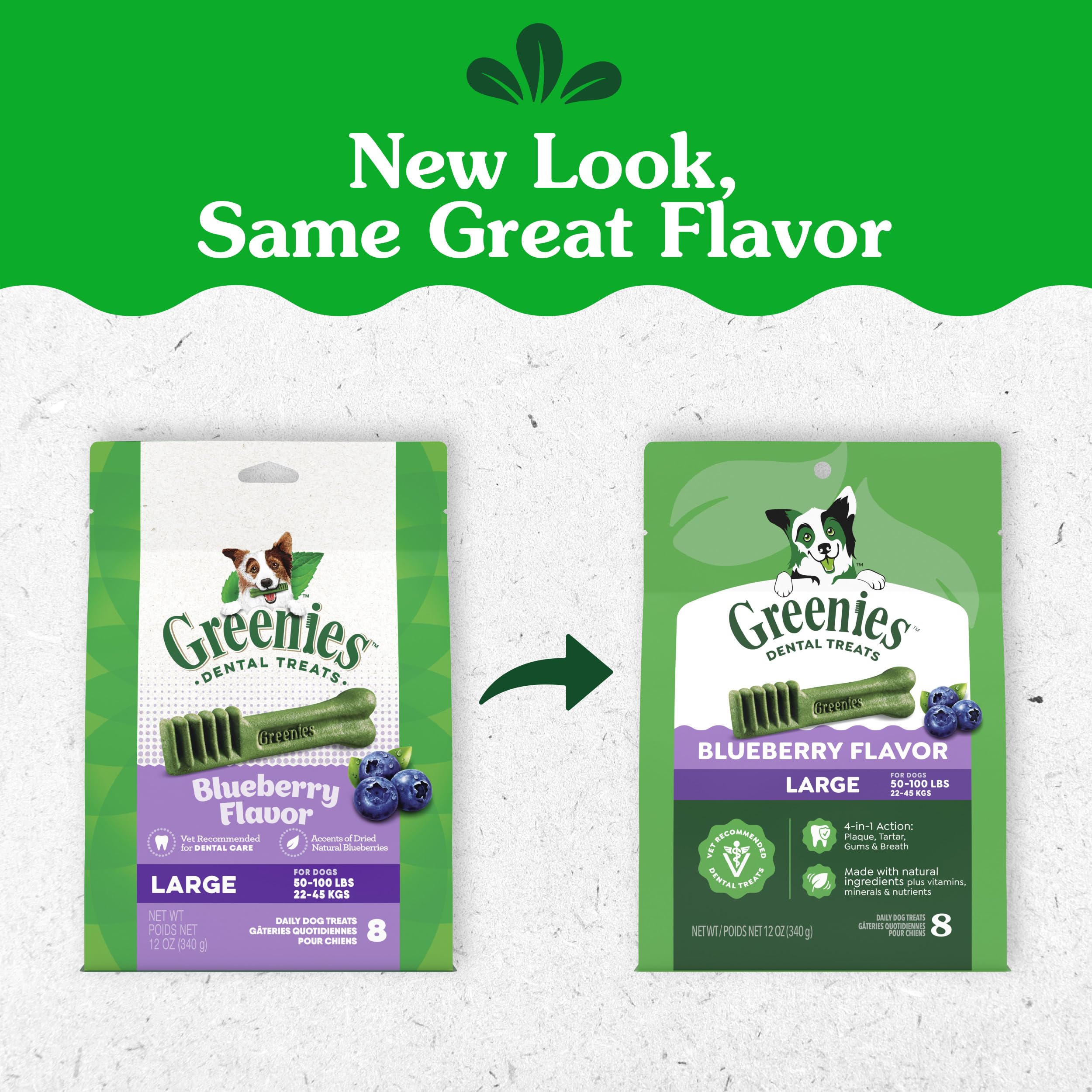 Close-up of single Greenies chew showing chewable texture and cleaning benefit
