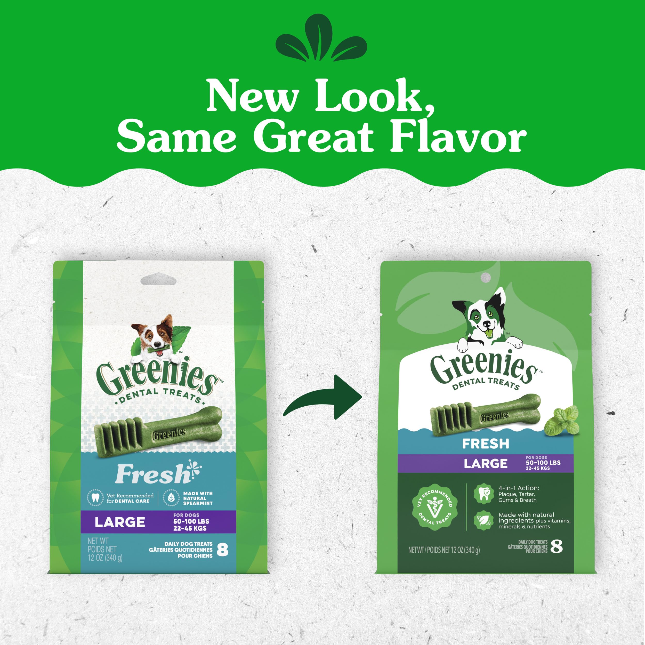 Close-up of a single Greenies chew showing chewable texture benefit