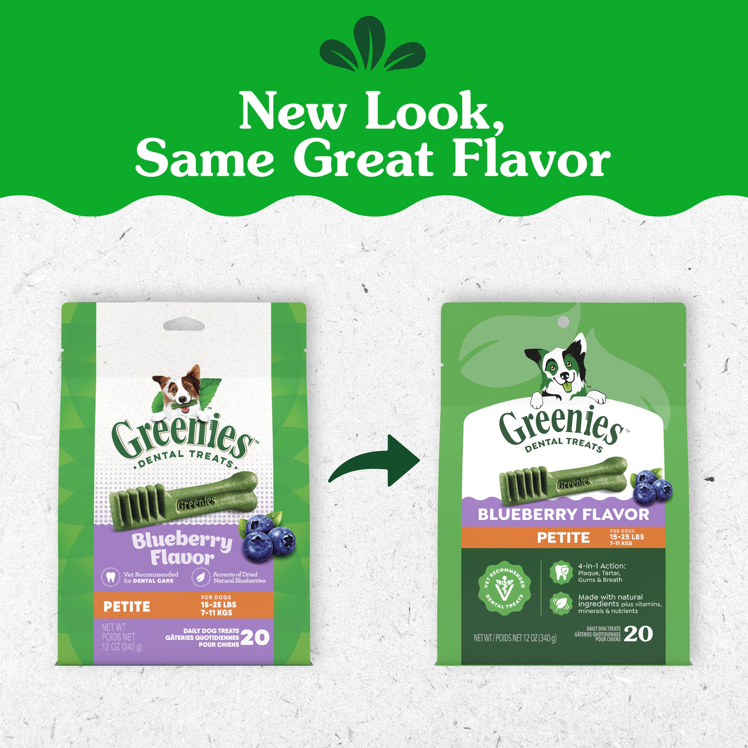 Close-up of one Greenies petite chew showing texture and chewability