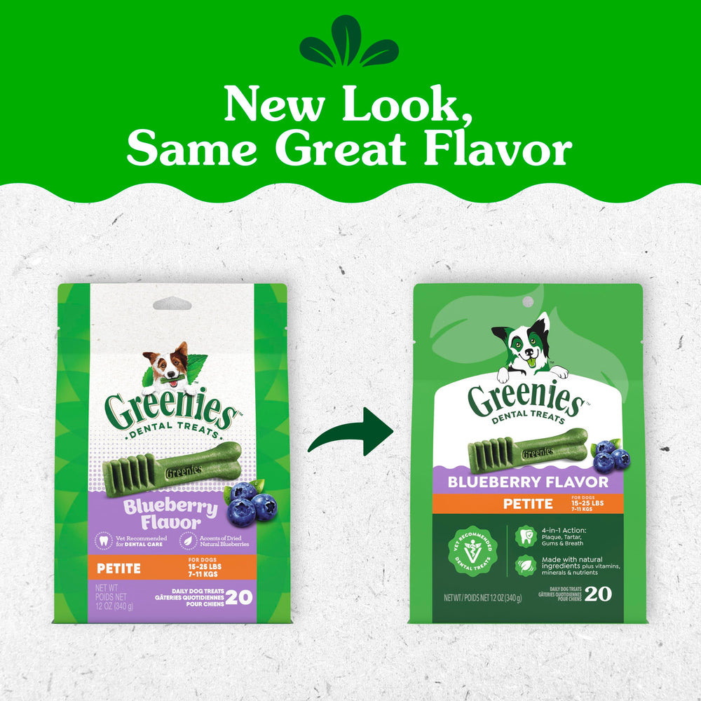 Close-up of one Greenies petite chew showing texture and chewability