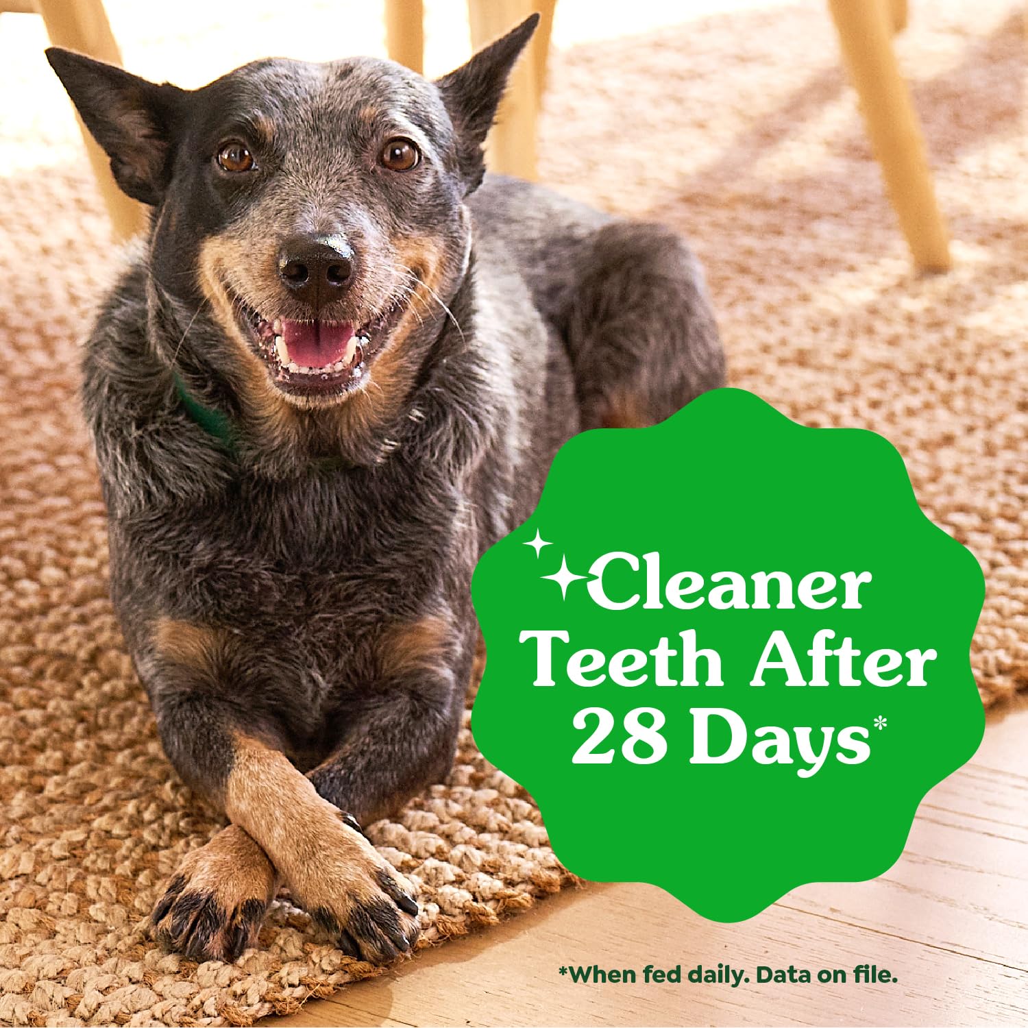 Greenies petite next to ruler showing correct size for 15–25 lb dogs