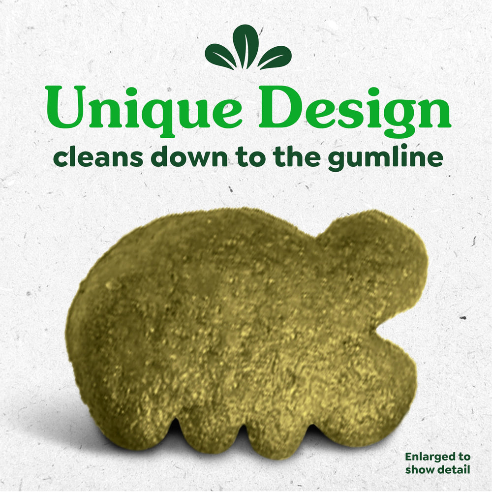 Greenies salmon treats in a bowl ready to serve, convenient low-calorie reward