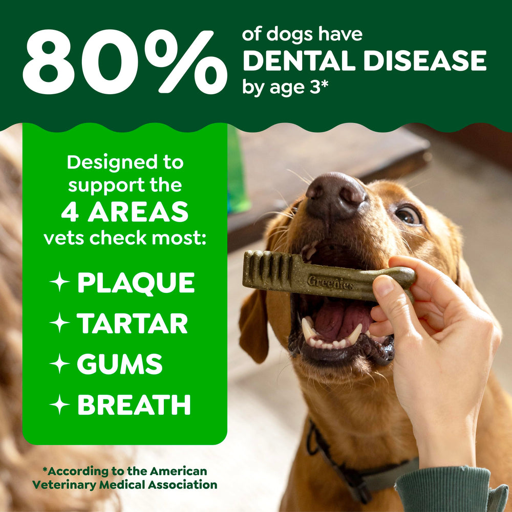 Greenies open bag displaying multiple soft dental chews for easy access