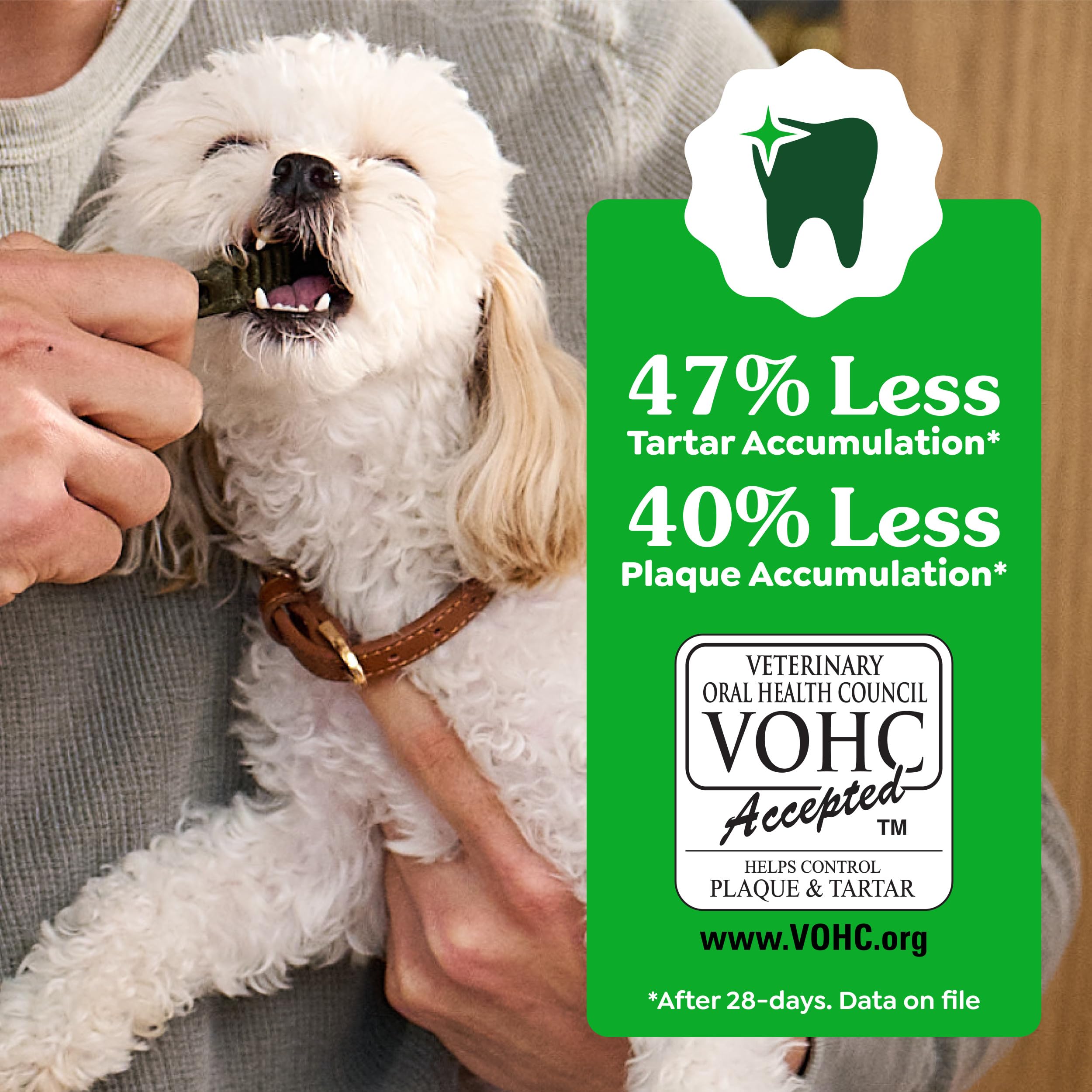 Greenies chew beside hand for scale, Greenies sized for large-breed dogs