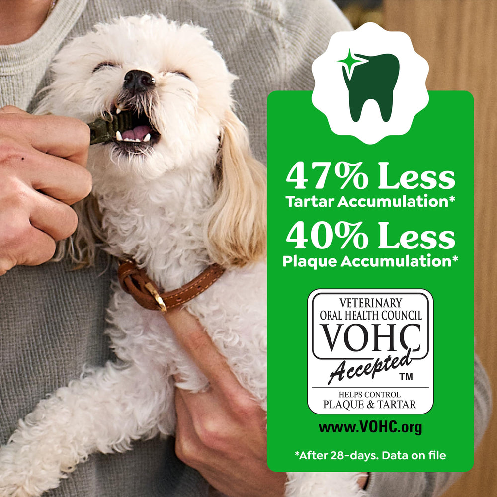 Greenies chew beside hand for scale, Greenies sized for large-breed dogs