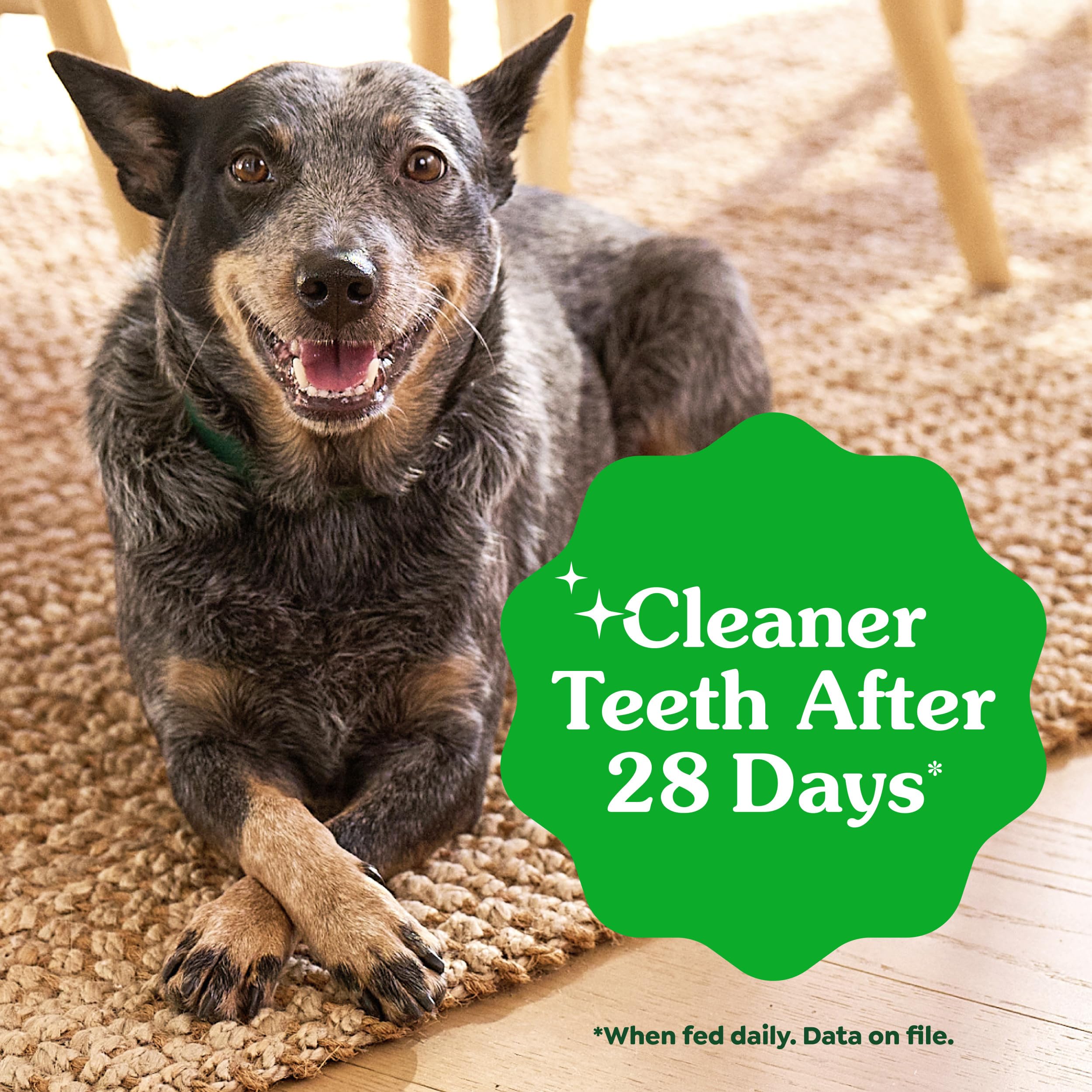 Greenies chew next to ruler showing size suited for 25 to 50 pound dogs