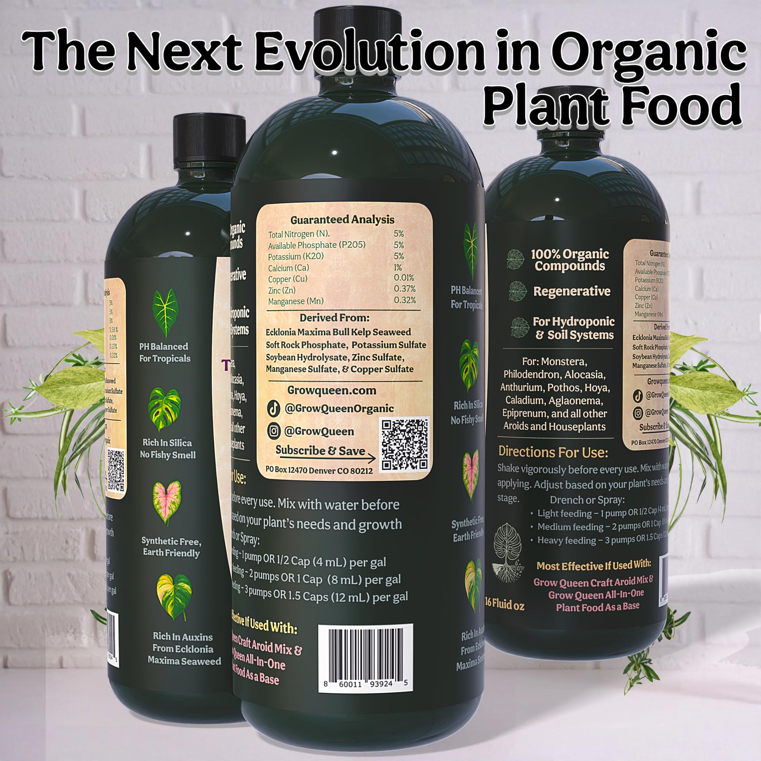 Grow Queen kelp ingredient close-up highlighting natural micronutrients benefit