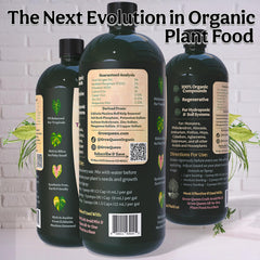 Grow Queen kelp ingredient close-up highlighting natural micronutrients benefit