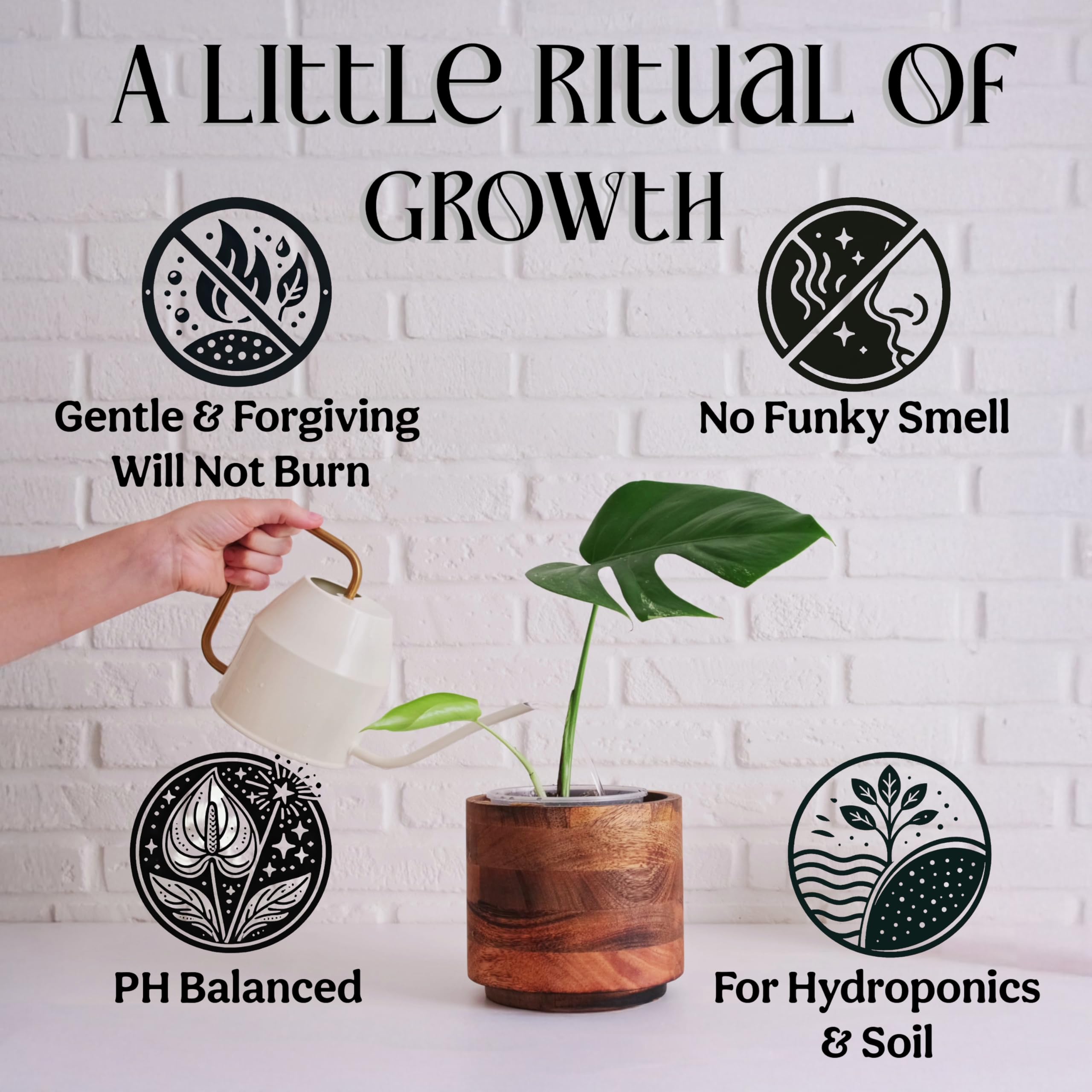 Grow Queen pour and mix action demonstrating instant blend and ease benefit