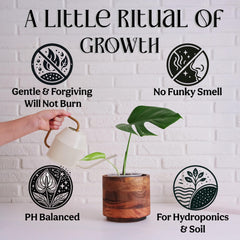 Grow Queen pour and mix action demonstrating instant blend and ease benefit