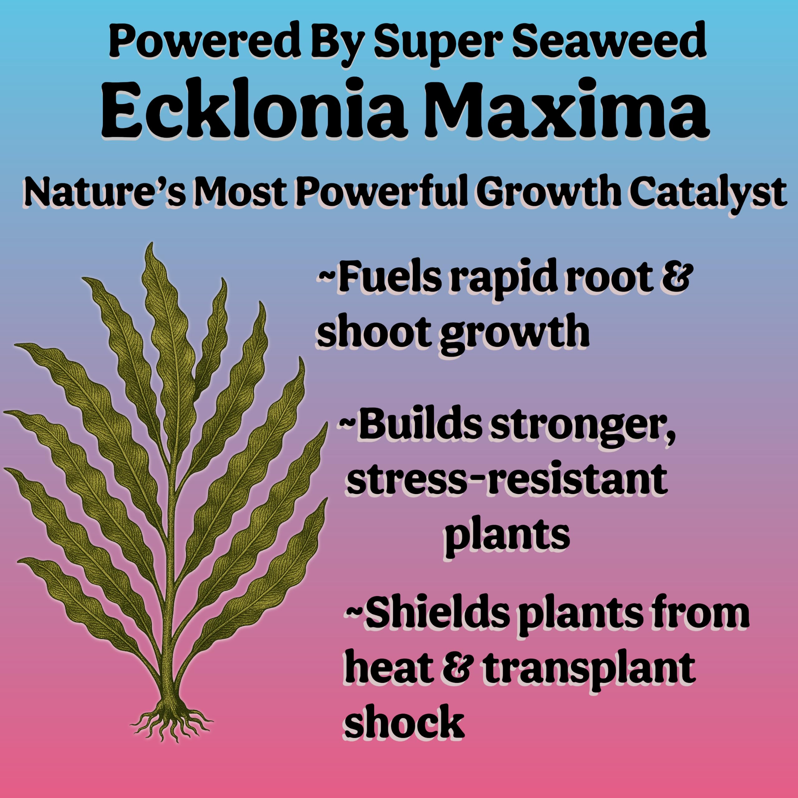Grow Queen soil application view illustrating improved soil biology benefit