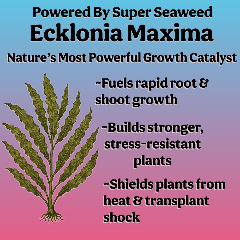 Grow Queen soil application view illustrating improved soil biology benefit