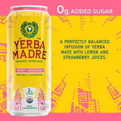 Guayaki close-up of Berry Lemonade texture highlighting natural juice and clarity