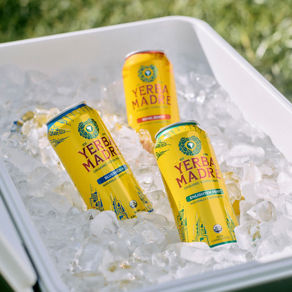Guayaki Yerba Madre flavor ingredients flatlay showing mint, berries, and yerba mate for natural taste