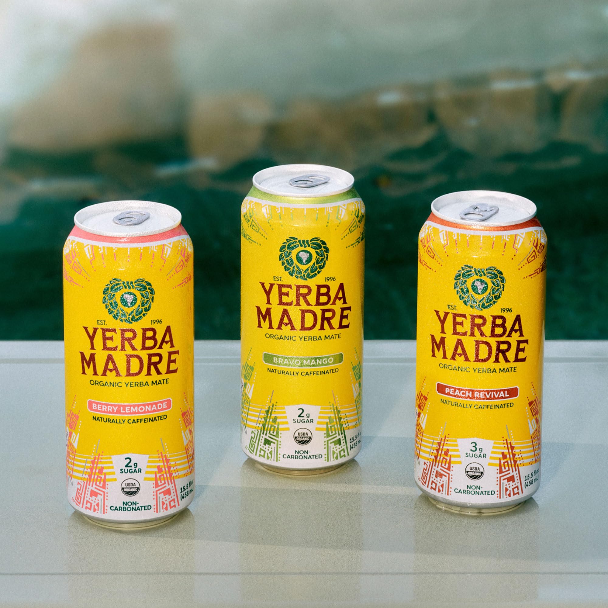 Guayaki Yerba Madre can in hand illustrating 15.5 oz scale and convenient portability