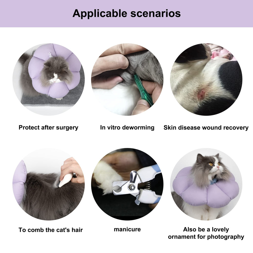 H HIDREAM collar on cat in home letting pet eat and move comfortably