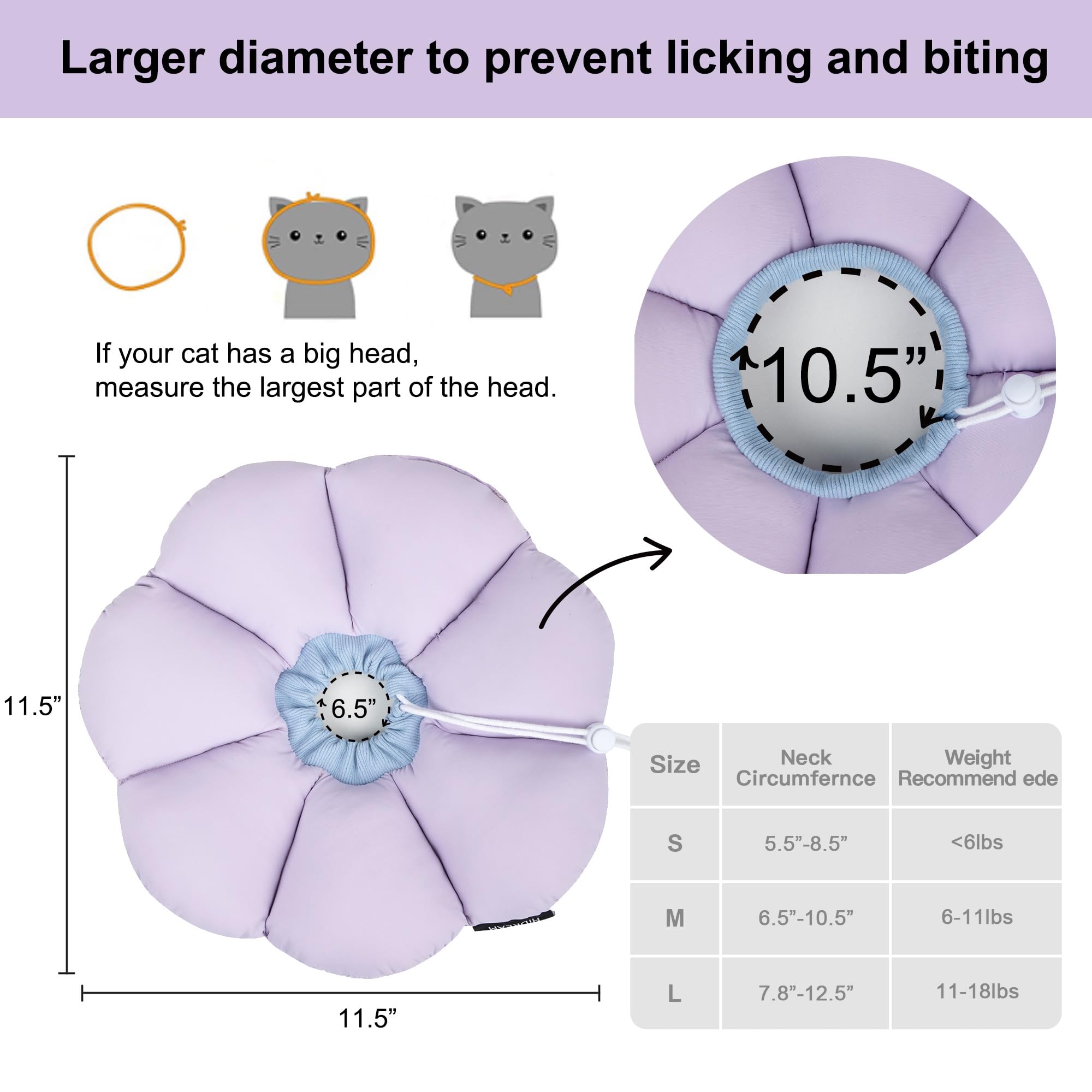 H HIDREAM size comparison with ruler showing 11.5-inch diameter clarity