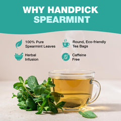 HANDPICK dried spearmint leaves detail highlighting fresh aroma