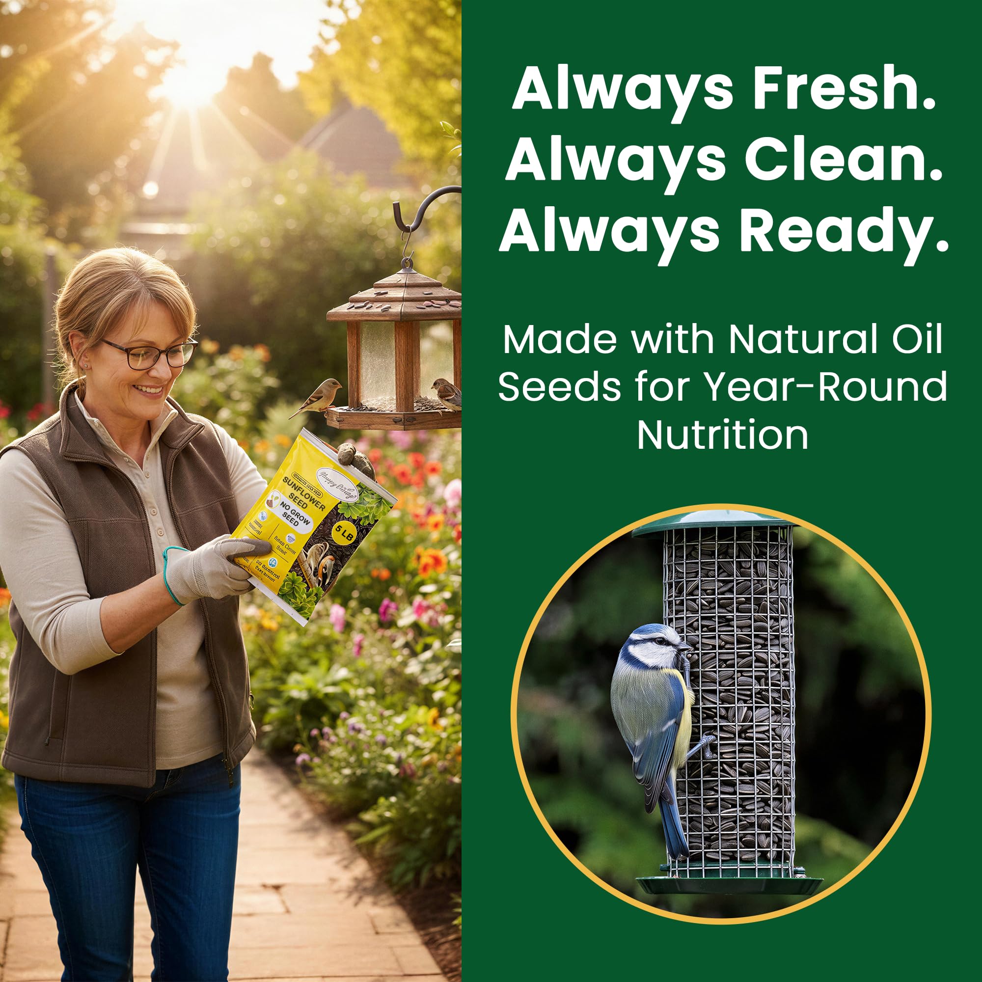 Happy Wings feeder scene in backyard showing natural habitat attraction and enjoyment