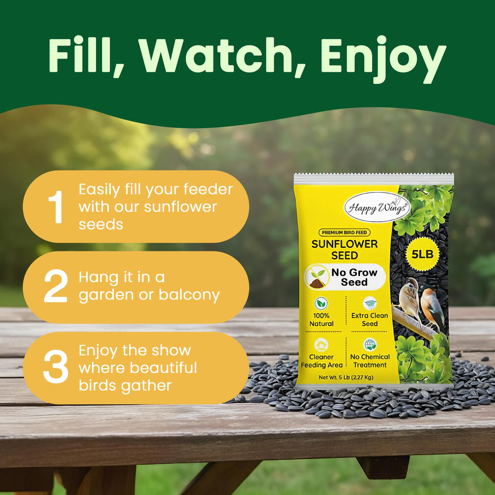 Happy Wings attracted songbirds feeding on seeds demonstrating increased backyard activity