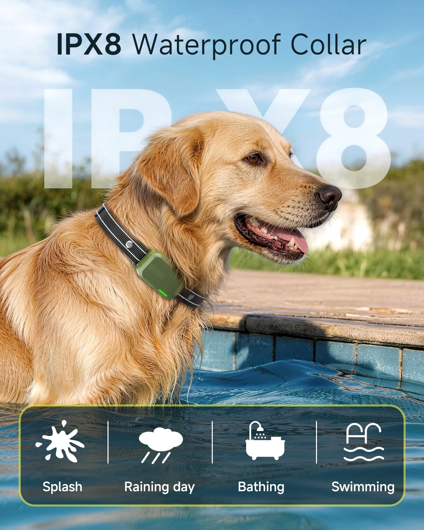 HapTop collar worn on medium dog showing secure fit and comfort advantage