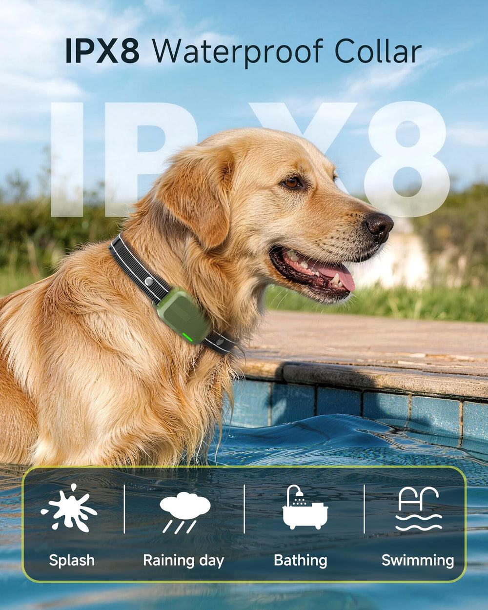 HapTop collar worn on medium dog showing secure fit and comfort advantage