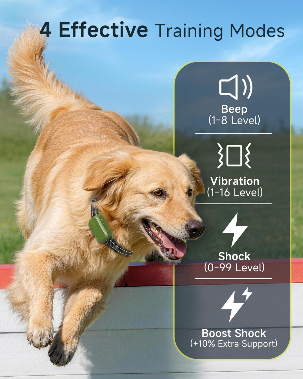 HapTop remote with two collars laid out to show dual-channel control benefit