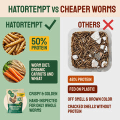 Hatortempt resealable bag opened, demonstrating freshness and easy storage