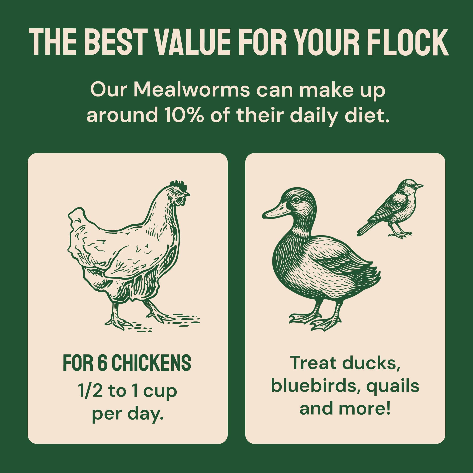Hatortempt backyard scene with chickens and birds, conveying multi-species use