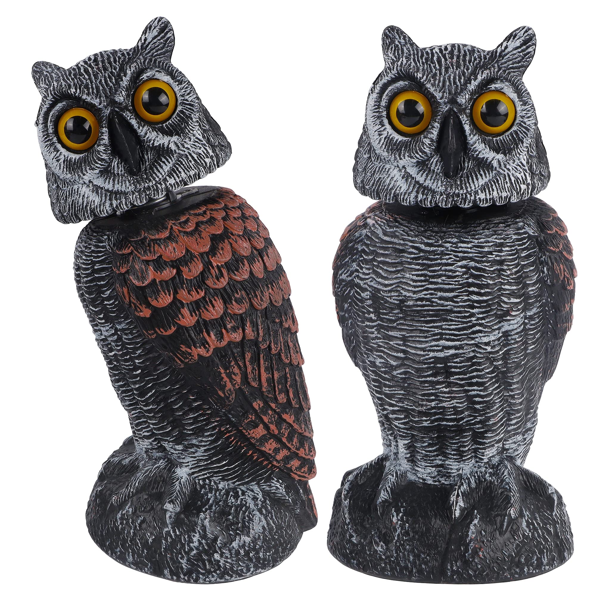 Hausse front view showing two owl decoys protecting a garden