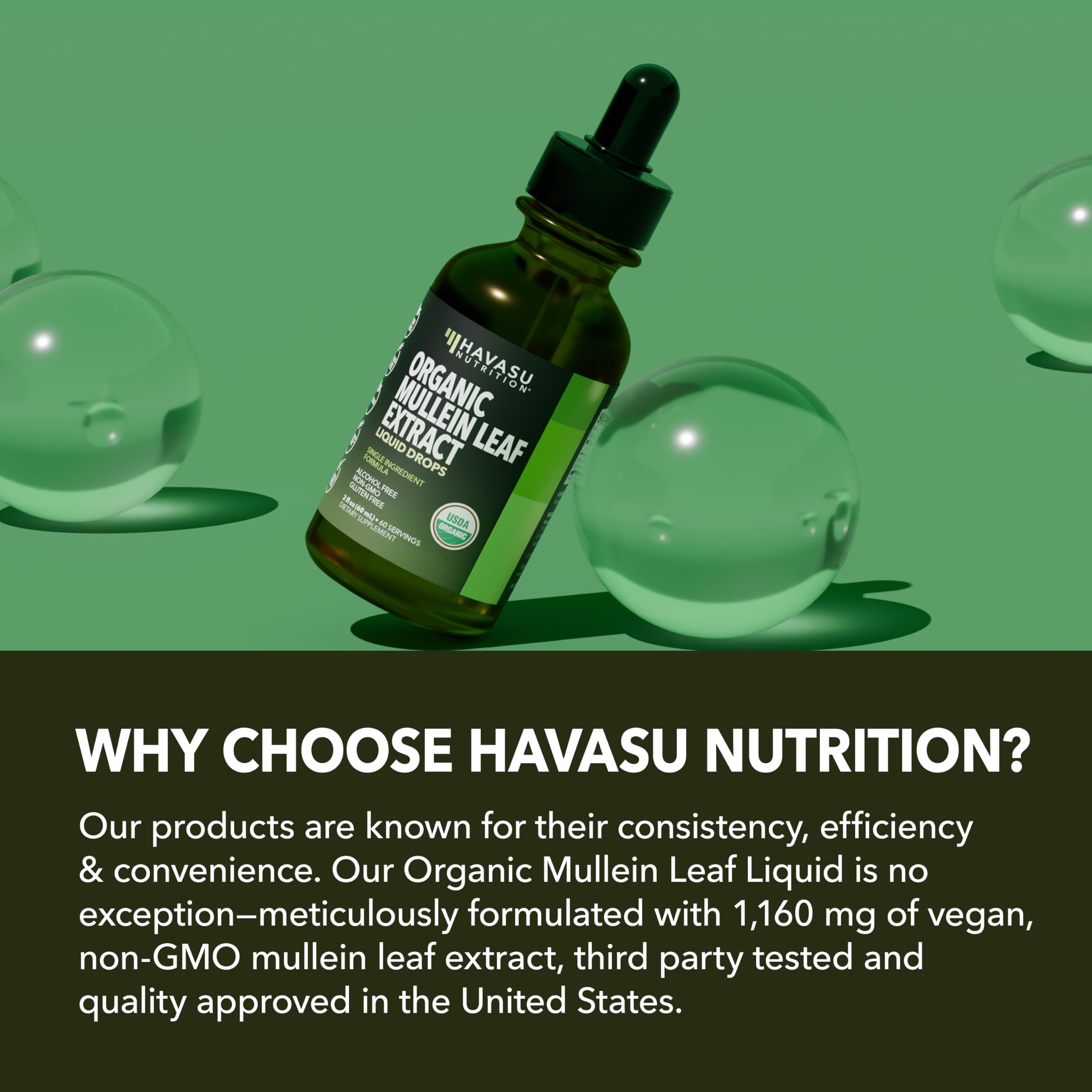 HAVASU NUTRITION dried mullein leaves ingredients photo showing natural sourcing
