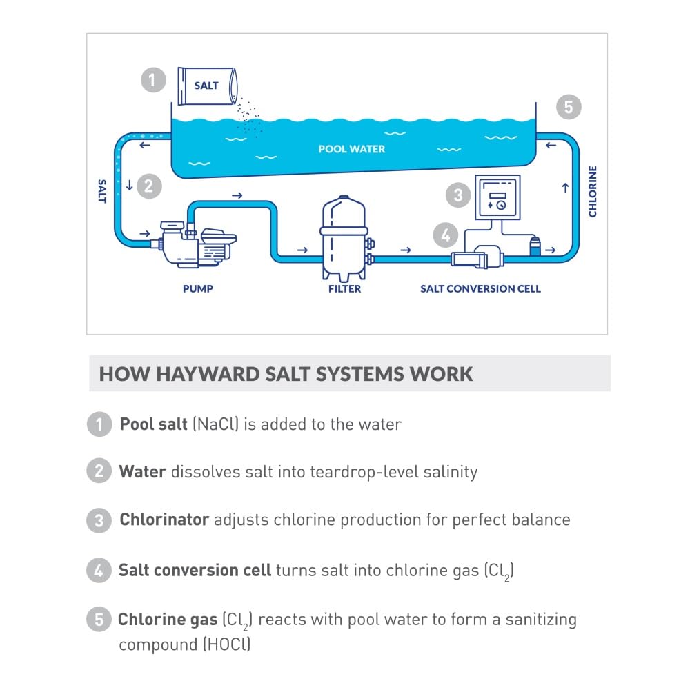 Hayward TurboCell mounted by a backyard pool showing automated sanitization benefit
