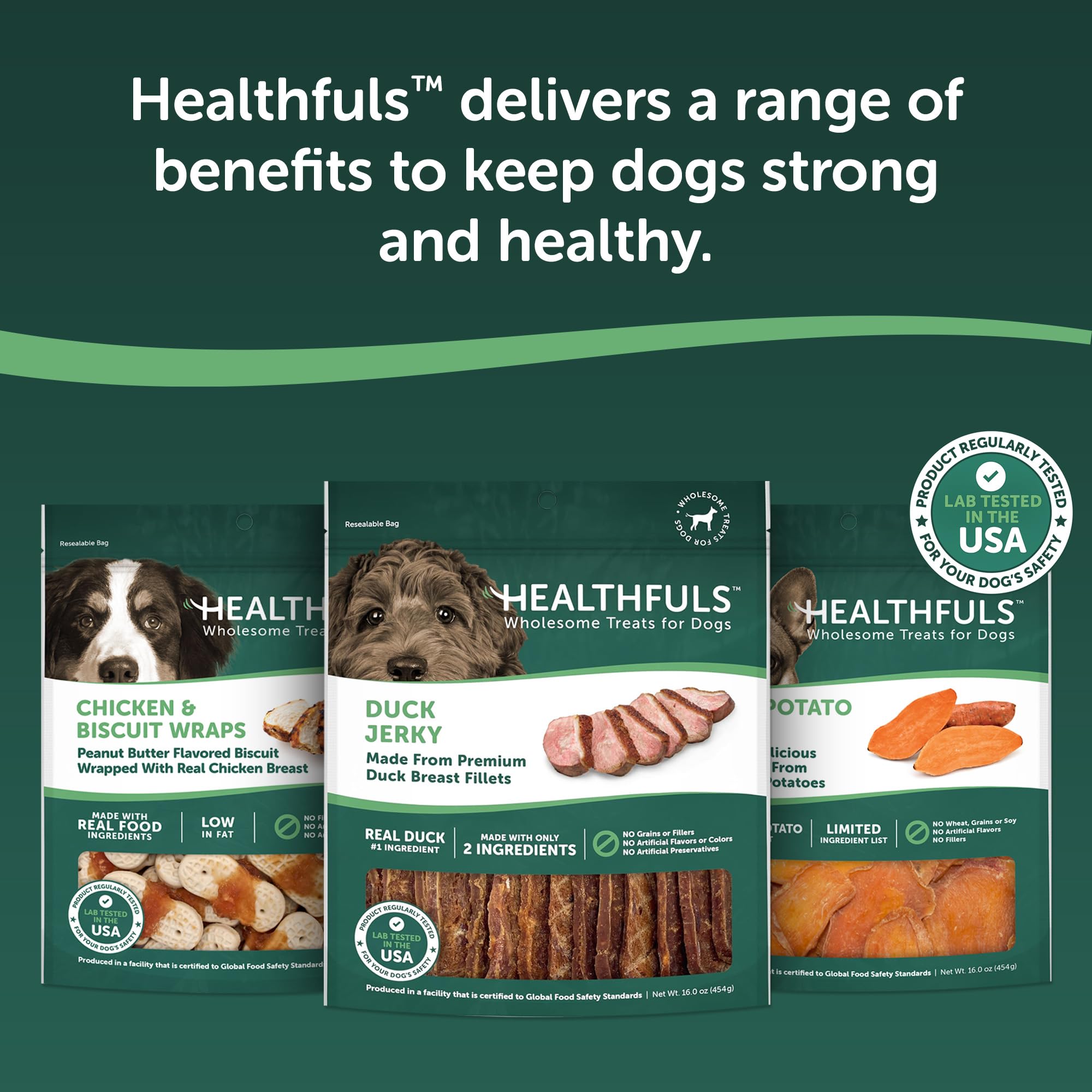 HEALTHFULS owner rewarding dog outdoors illustrating training usefulness