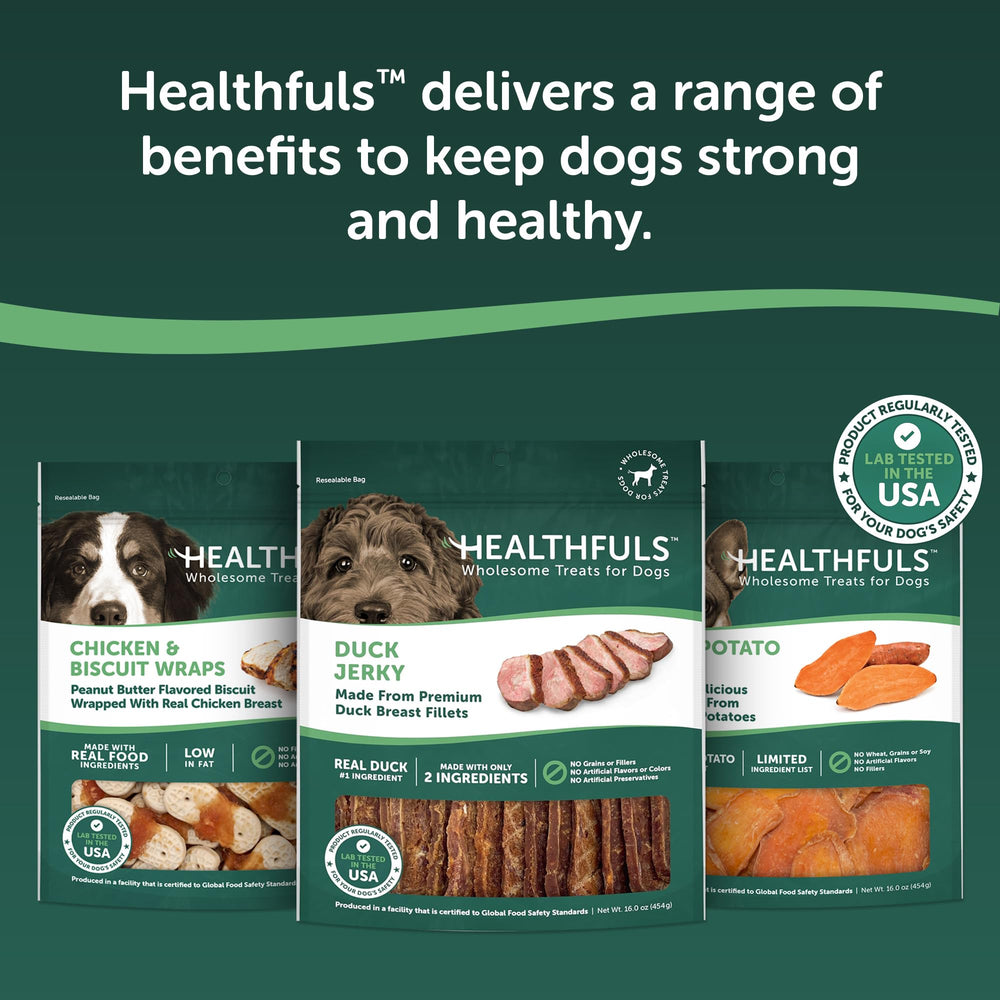 HEALTHFULS owner rewarding dog outdoors illustrating training usefulness